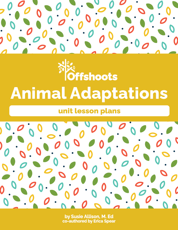 Animal Adaptations