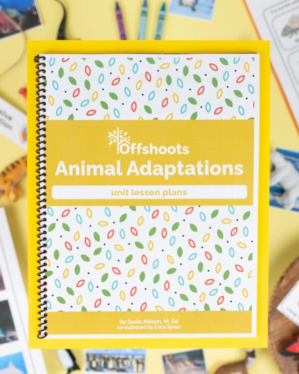 Animal Adaptations Unit Study