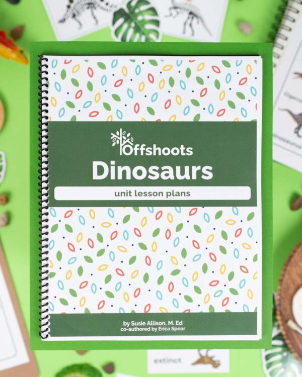 Dinosaurs Unit Study