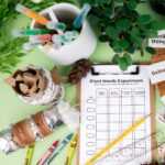 Plant Problem Solvers Experiment