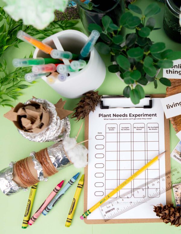 Plant Problem Solvers Experiment Plant Problem Solvers Experiment