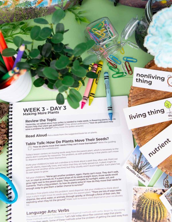 Plant Problem Solvers Unit page Plant Problem Solvers Unit page
