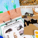 Underground Worlds Fossorial and Roots