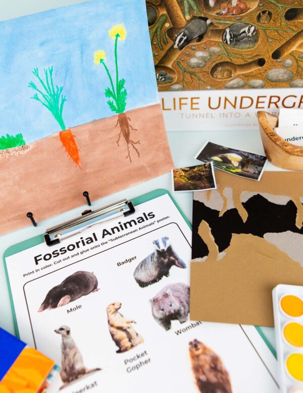 Underground Worlds Fossorial and Roots Underground Worlds Fossorial and Roots