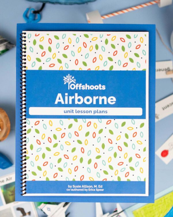 Airborne Unit Study