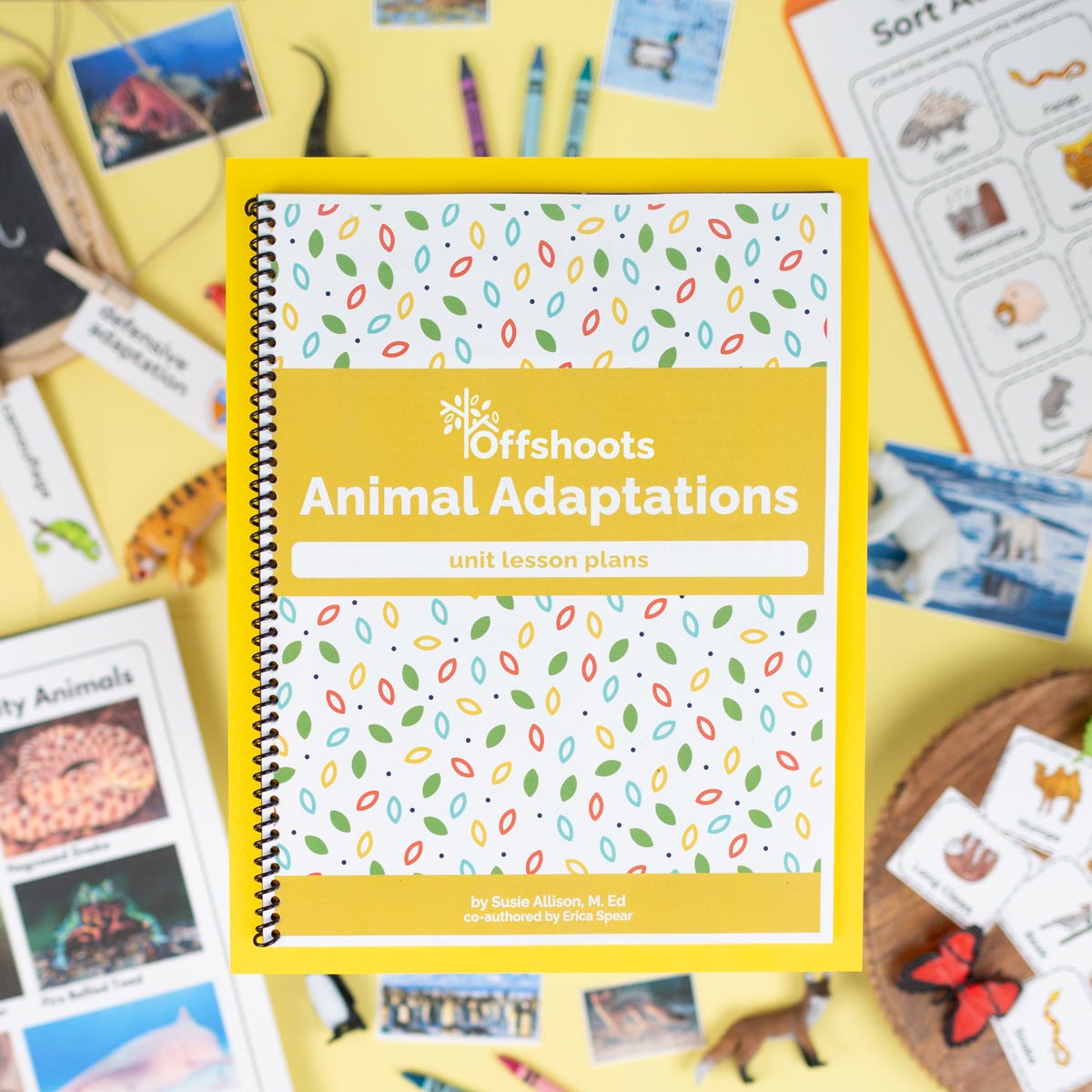 Overhead shot of the Animal adaptations unit with animals, school supplies, and visuals behind the image, blurry.