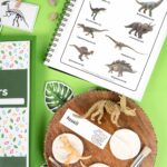 Dino-Fossils