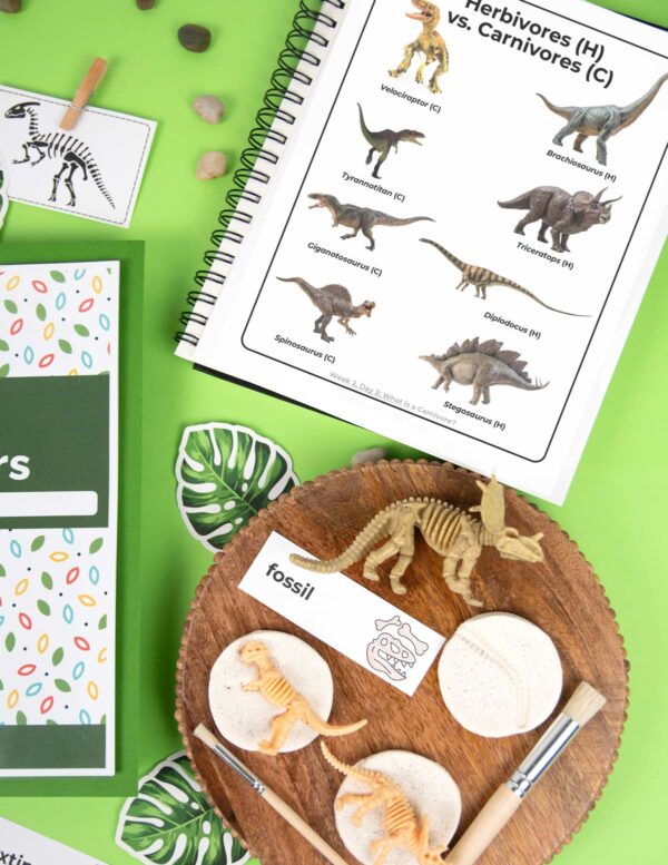 Dino-Fossils Dino-Fossils