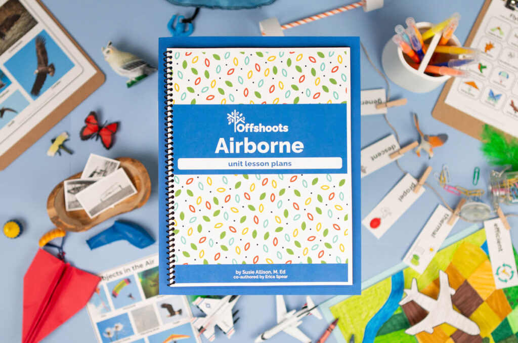 Overhead shot of a curriculum guide book on a blue background surrounded by airborne objects like planes, birds, and parachutes.