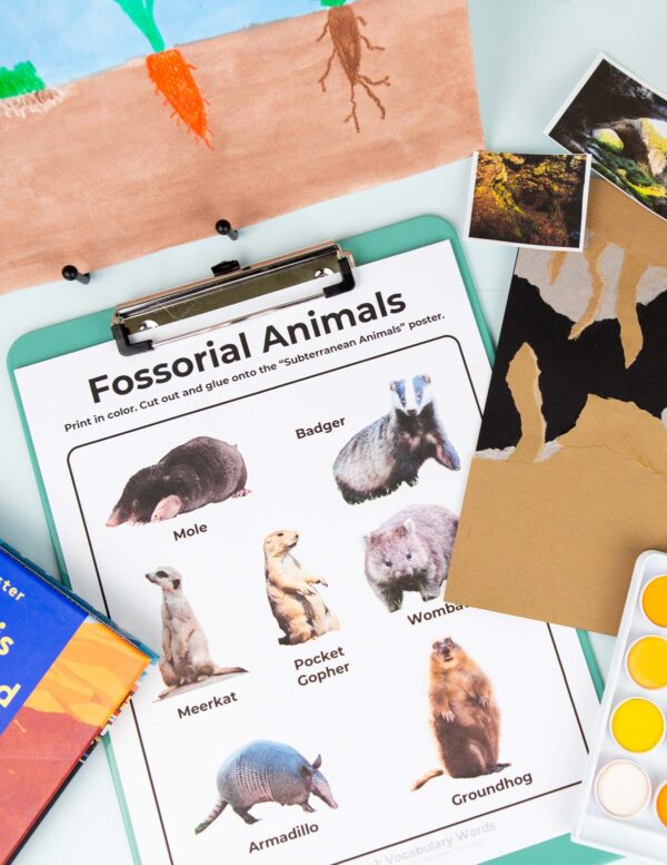 Underground Worlds fossorial-animals Underground Worlds fossorial-animals