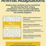 Animal Adaptations - 4 topics