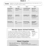 Animal Adaptations Week grid
