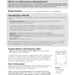 Animal Adaptations Unit page