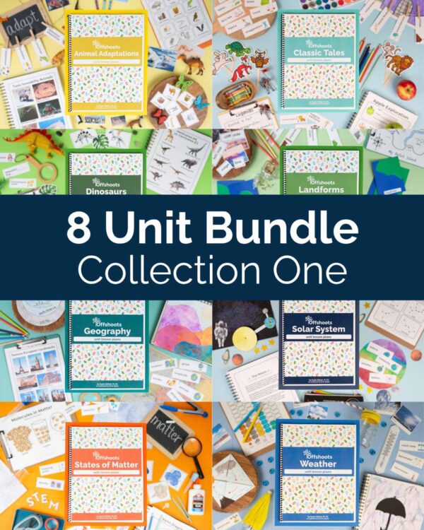 Collection One Bundle