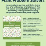 Plant Problem Solvers - 4 topics
